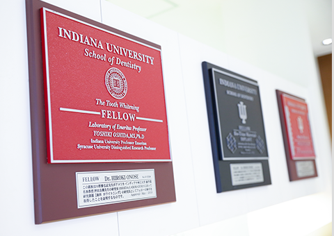 新宿・西新宿の歯医者・歯科「新宿オークタワー歯科クリニック」採用ページ｜盾